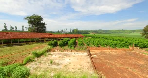 Granja Café Granja Pollo — Vídeo de stock