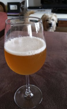 Masada bir bardak soğuk bira. 