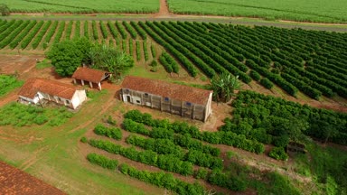 Plantation kahve ve çiftlik Güney Amerika, Brezilya  