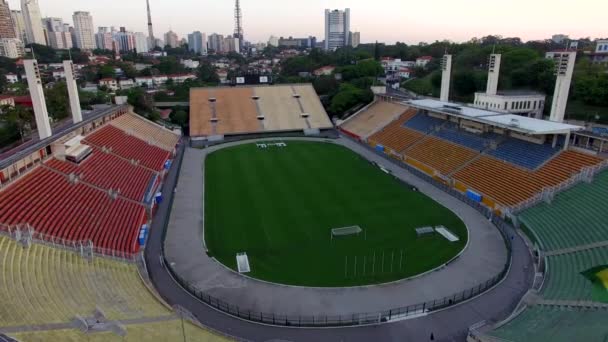Fútbol Todo Mundo Estadio Pacaembu Sao Paulo Brasil Vídeo Hecho — Vídeo de stock