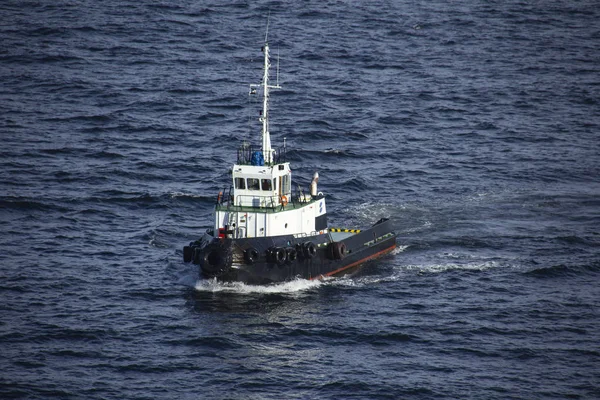  Tekne, beyaz ve siyah, deniz kenarında yelken römorkör 