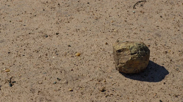 Single Stone White Sand — Stock Photo, Image