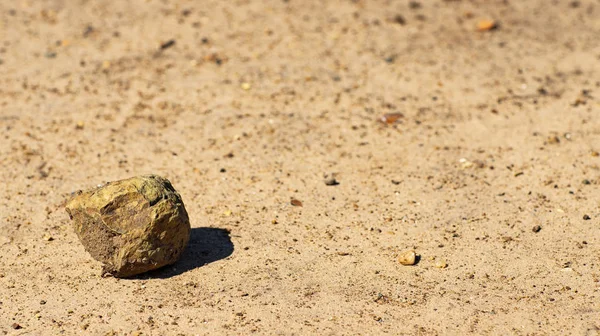 Kum Bir Taş Güzel Doğal Peyzaj Sessiz Huzurlu Dinlenme — Stok fotoğraf