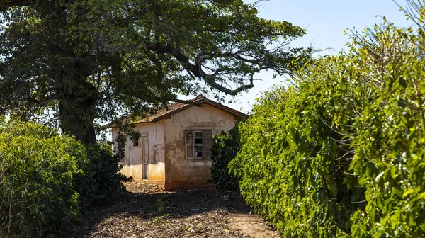 Casa Abandonada Casa Mal Conservada Casa Pobre — Fotografia de Stock