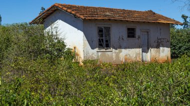 Bir gören küçük bir çiftlikte, Victoria ilçe şehir Botucatu, Sao Paulo Brezilya devlet, Güney Amerika'nın manzarası 
