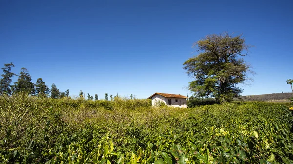 Casale Rurale Tra Terreni Agricoli — Foto Stock