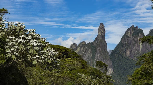 Gottes Finger Landschaft Rio Janeiro State Berge Der Nähe Der — Stockfoto