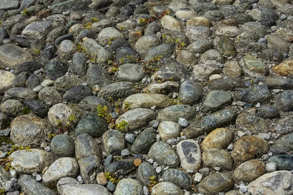 Fondo Redondo Piedra Fondo Con Piedras Suelo Fondo Piso Con — Foto de Stock