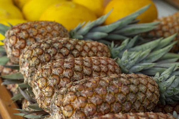 Pineapple sold in the market. Pineapple sold in the fruit market. Pineapples are harvested from the farm were piled up waiting to be sold.