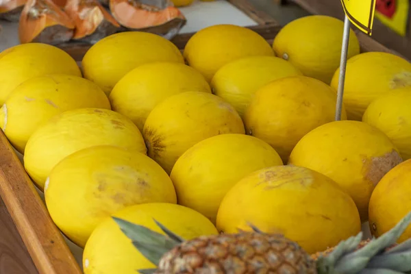 黄色的瓜 许多甜瓜要卖 背景是菠萝 — 图库照片