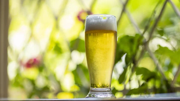 Glass Cold Beer Window Nature Background Beer Window — Stock Photo, Image