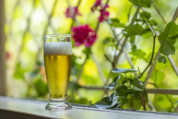 Glass Cold Beer Window Nature Background Beer Window — Stock Photo, Image