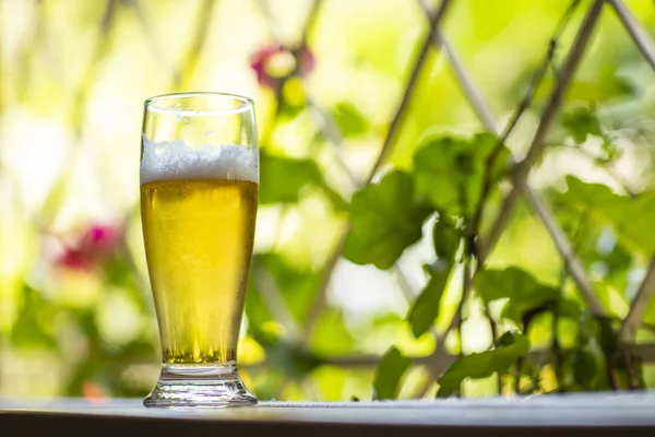 Glass of cold beer on the window and nature background. Beer in the window.