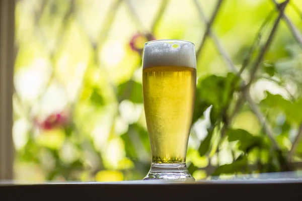 玻璃杯冰镇啤酒的窗口和自然背景 橱窗里的啤酒 — 图库照片