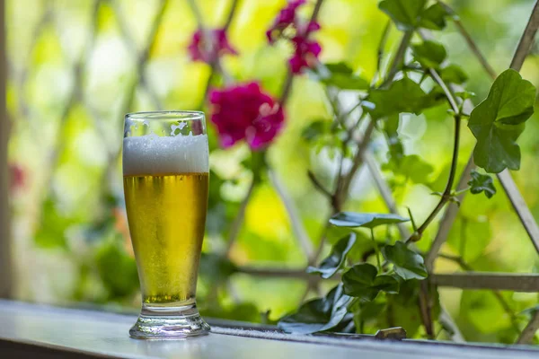 Glass Cold Beer Window Nature Background Beer Window — Stock Photo, Image