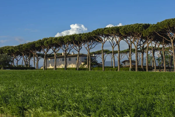 Székhelye Pincészet Antinori Gualdo Tasso Italy Producer Bolgheri Toszkána Ban — Stock Fotó