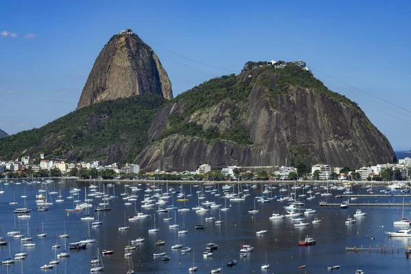 Exotische Bergen Beroemde Bergen Berg Van Sugar Loaf Rio Janeiro — Stockfoto