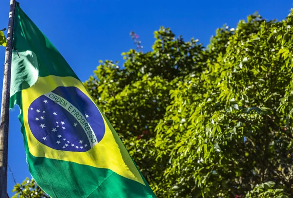Bandiera Nel Vento Bandiera Verde Gialla Blu Bandiera Brasiliana — Foto Stock