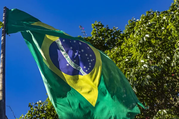 Bandiera Nel Vento Bandiera Verde Gialla Blu Bandiera Brasiliana — Foto Stock