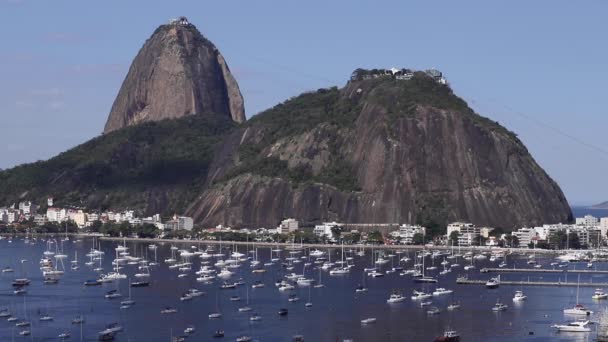 Exotische Berge Berühmte Berge Berg Des Zuckerhuts Rio Janeiro Brasilien — Stockvideo