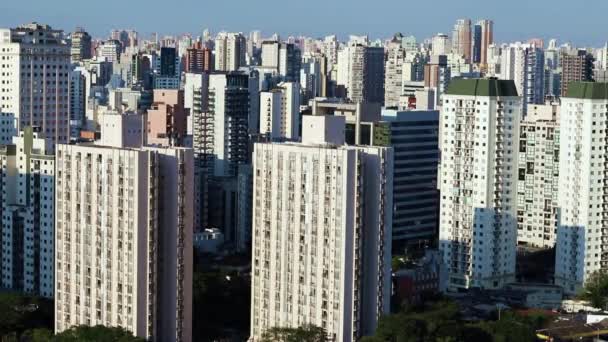 Big City World City Sao Paulo Brazil South America — Stock Video