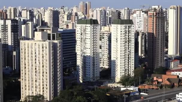 世界の大都市 サンパウロ市 ブラジル — ストック動画