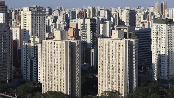 Cidade Grande Mundo Cidade São Paulo Brasil América Sul — Vídeo de Stock