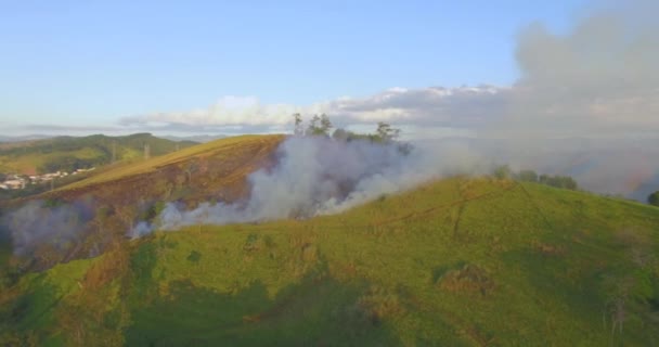 Orman Yangınının Havadan Görünümü Dumanı Brezilya Nın Çalılıklarında Yangın — Stok video