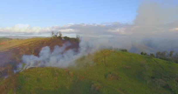 Vue aérienne fumée de feu de forêt. Le feu dans la brousse du Brésil . 