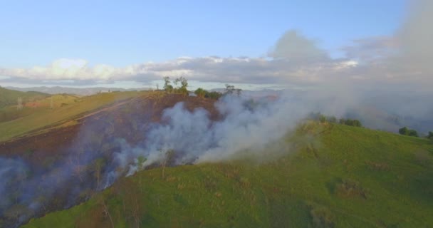 Aerial View Rook Van Wildvuur Brand Bush Van Brazilië — Stockvideo