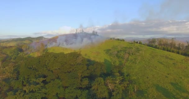 Vista Aerea Fumo Incendio Incendio Nel Cespuglio Del Brasile — Video Stock