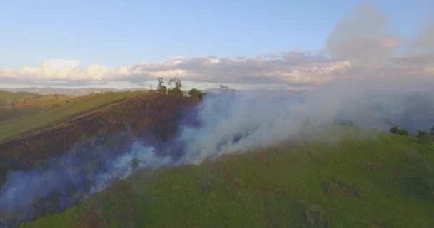 Vista Aerea Fumo Incendio Incendio Nel Cespuglio Del Brasile — Video Stock