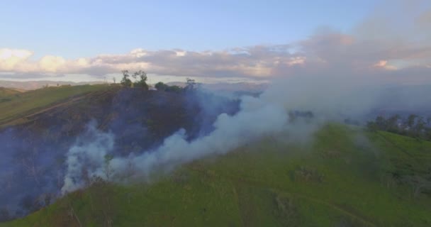 鸟瞰野火烟雾 巴西丛林中的火 — 图库视频影像
