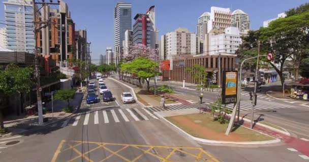 São Paulo Stad Sao Paulo Brasilien Sydamerika Viktiga Städer Världen — Stockvideo