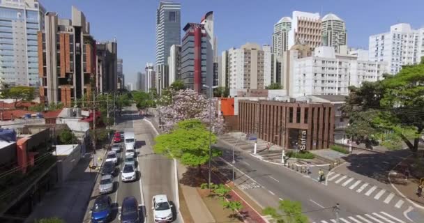 Ville Sao Paulo État Sao Paulo Brésil Amérique Sud Villes — Video