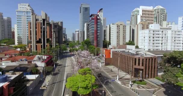 Město Sao Paulo Sao Paulo Brazílie Jižní Amerika Důležitá Města — Stock video