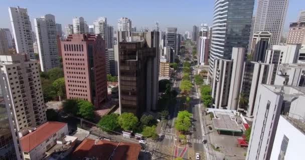 Világ Fontos Városai Világ Fontos Irányvonalai Sao Paulo Város Sao — Stock videók