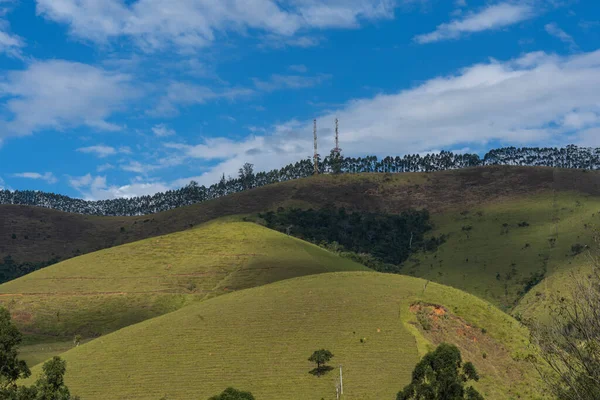 Landschaft Mit Bäumen Gras Und Blauem Himmel — Stockfoto