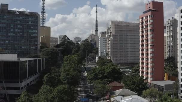 南米ブラジルのサンパウロ市 世界の重要な都市 世界の重要な道 — ストック動画