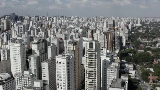 Sao Paulo City Brazil Big Cities Big Buildings Big Avenues — Stock Video