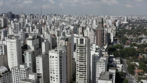 Sao Paulo City Brazil Big Cities Big Buildings Big Avenues — Stock Video