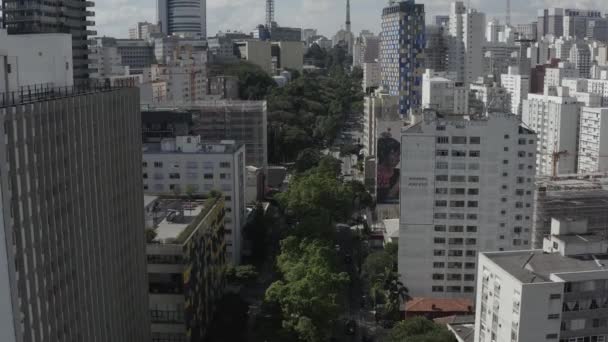 南米ブラジルのサンパウロ市 世界の重要な都市 世界の重要な道 — ストック動画
