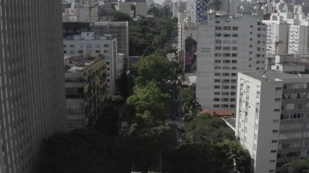 Sao Paulo Şehri Brezilya Güney Amerika Dünyanın Önemli Şehirleri Dünyadaki — Stok video