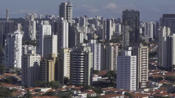 Napközben Nagyvárosok Sao Paulo Város Brazília Dél Amerika — Stock videók