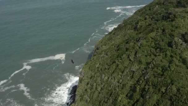 Aerial View Rocks Stormy Sea Birds Flying — Stock Video
