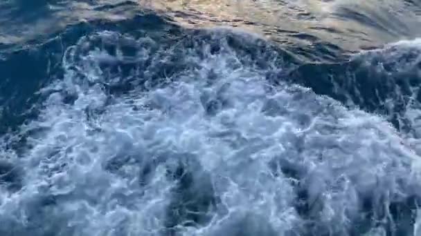 Gelombang Kuat Ditarik Keluar Dari Perahu Yang Bergerak Cepat Olahraga — Stok Video