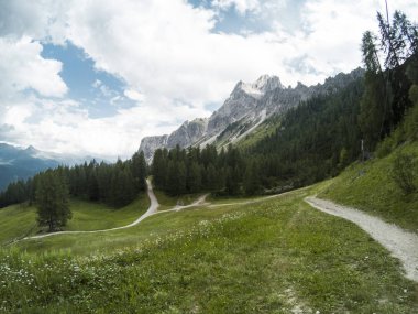 Dolomites bulutlar ile doğa yürüyüşü ve gree foreston arka plan. South Tyrol, İtalya, Alp. Eylem Kamera ile çekilen.