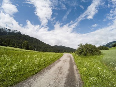 Bir arka plan ve bulutlu gökyüzü üzerinde dağ ve orman ile İtalya Alpler boş zemin yolu. Dolomites.