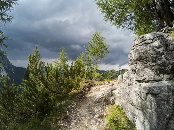 Stig på ett berg som passerar nära en klippa och Gree barrträd med en vacker utsikt över landskapet i Dolomiterna moutains bakgrund. Sydtyrolen, Italien, Alp. Fångas på actionkamera. — Stockfoto