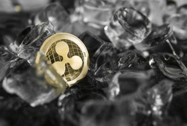 Altın dalgalanma sikke buz arka plan üzerinde. Kış karşılığında kavramı. Dondur. Blockchain incelemesi. Dijital para ve sanal cryptocurrency kavramı. Iinvestment. Ticaret, ticari.